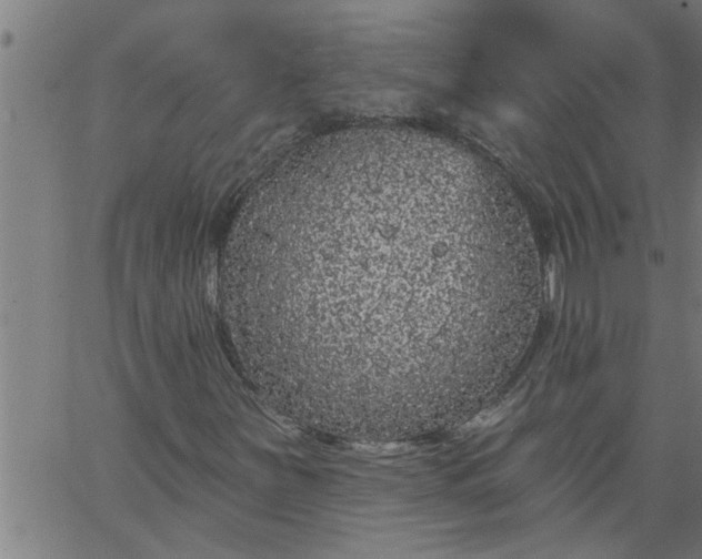 X0000066531251200603311811