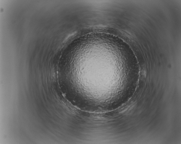 X0000066531252200603311811