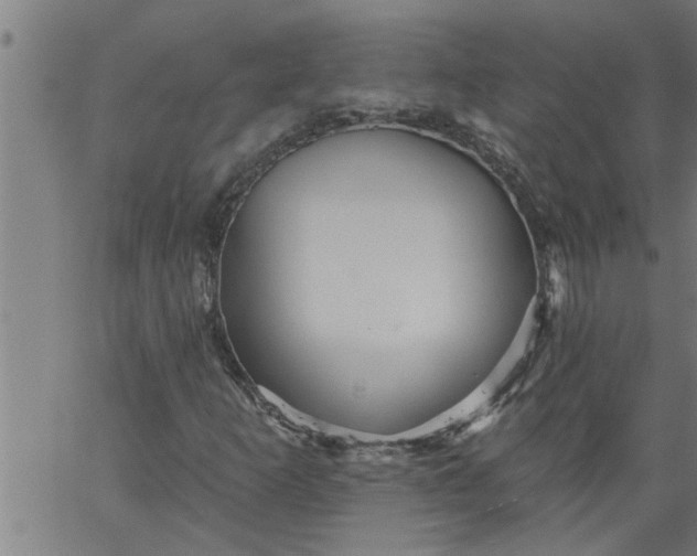 X0000066531253200603311811