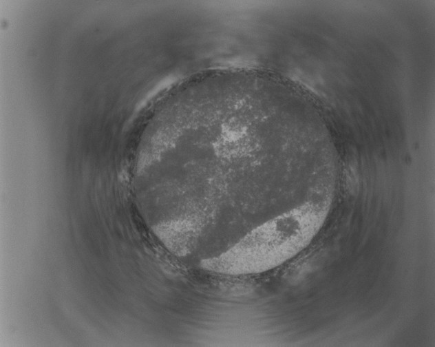 X0000066531254200603311811