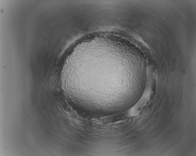 X0000066531256200603311811