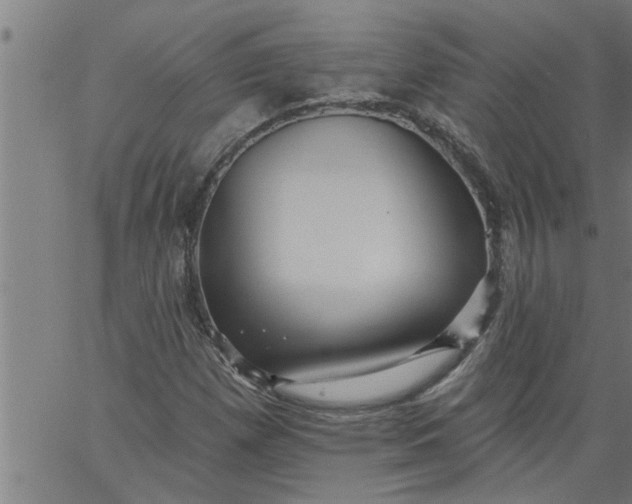 X0000066531257200603311811