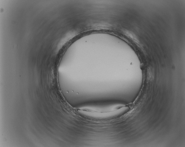 X0000066531261200603311811