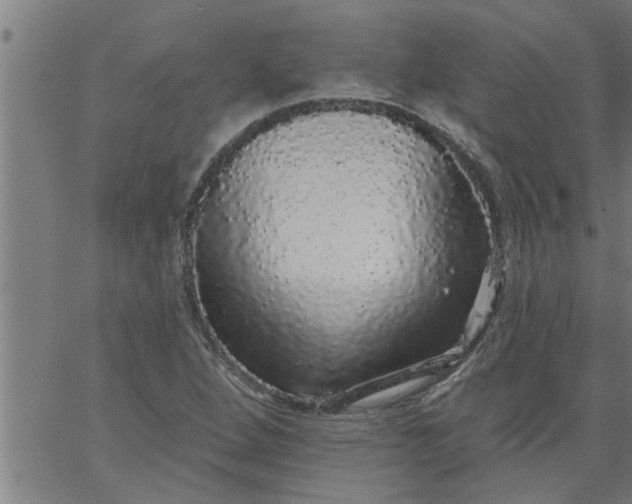 X0000066531264200603311811