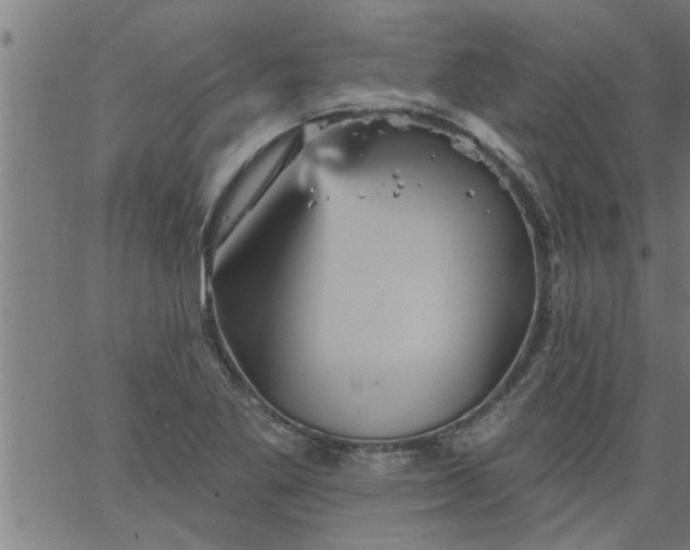 X0000066531269200603311811