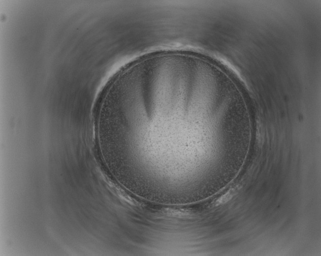 X0000066531270200603311811