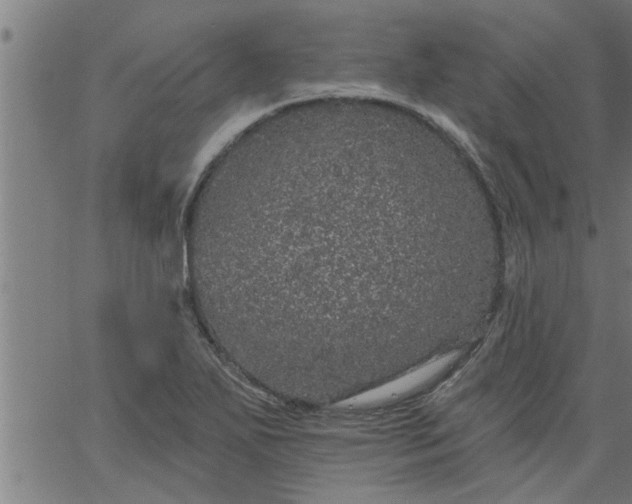 X0000066531271200603311811