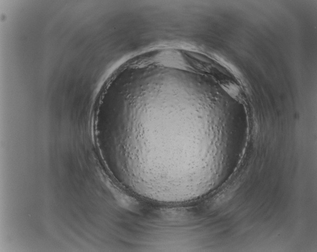 X0000066531272200603311811