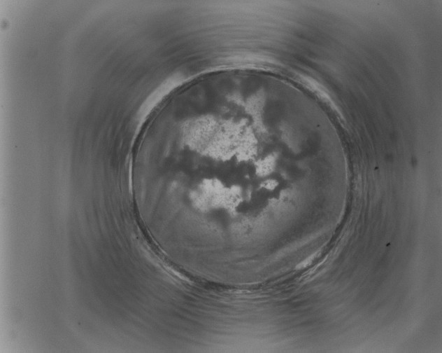 X0000066531275200603311811