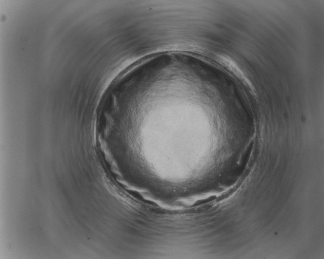 X0000066531276200603311811