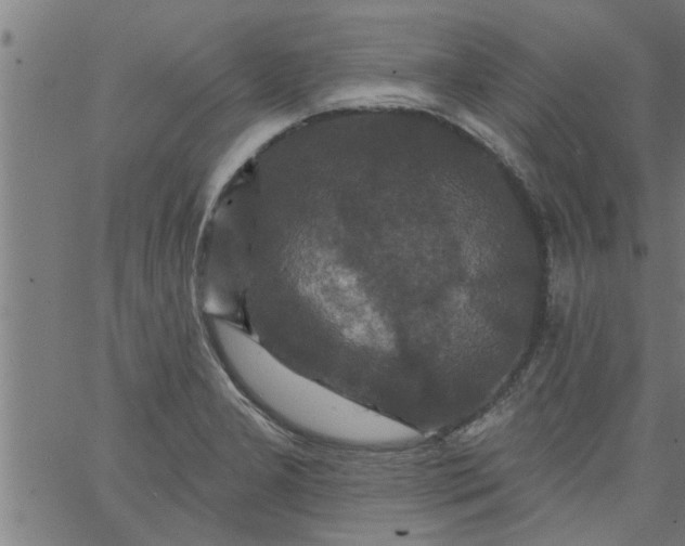 X0000066531277200603311811