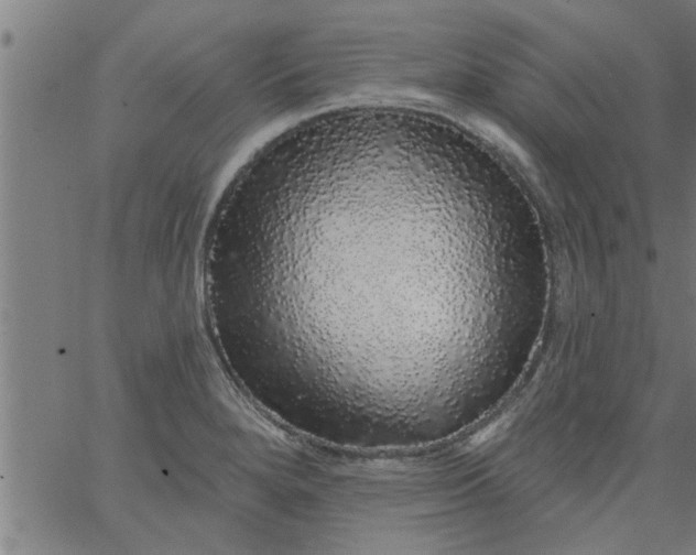 X0000066531280200603311811