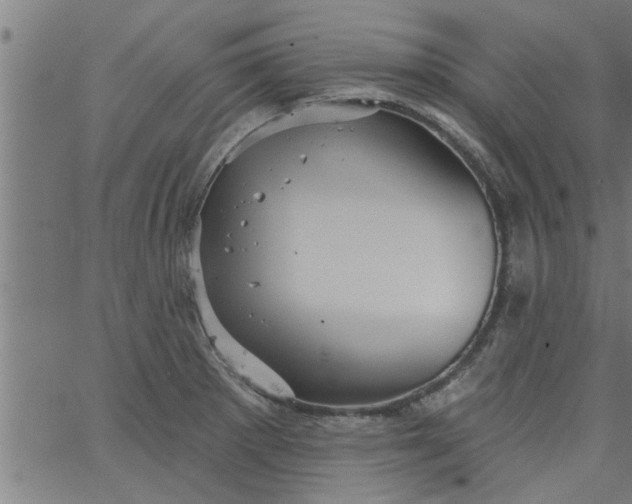 X0000066531281200603311811