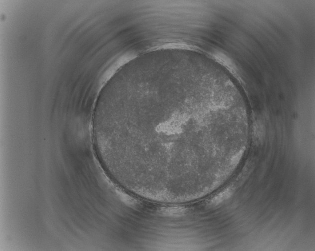 X0000066531282200603311811