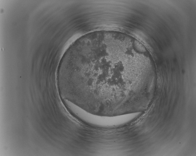 X0000066531283200603311811