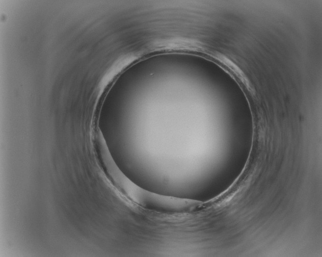 X0000066531285200603311811