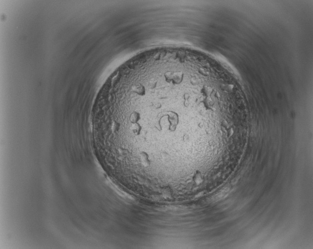 X0000066531287200603311810