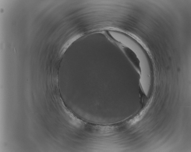 X0000066531289200603311810