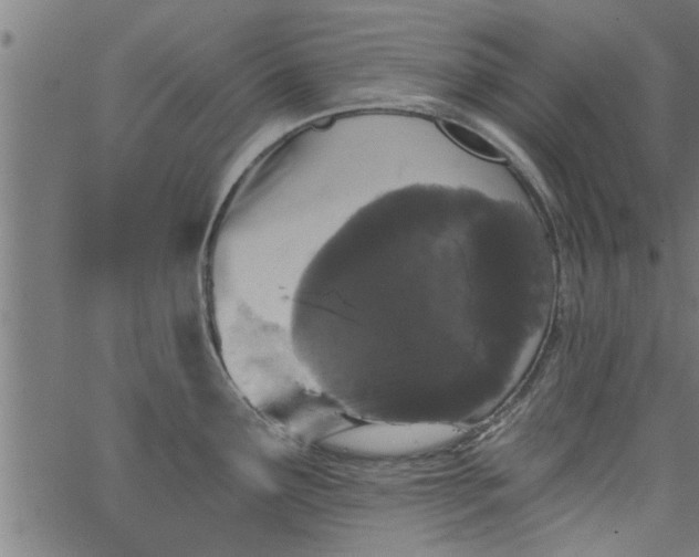 X0000066531291200603311810