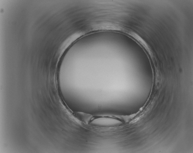 X0000066531293200603311810