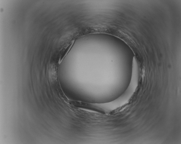 X0000066531298200603311810