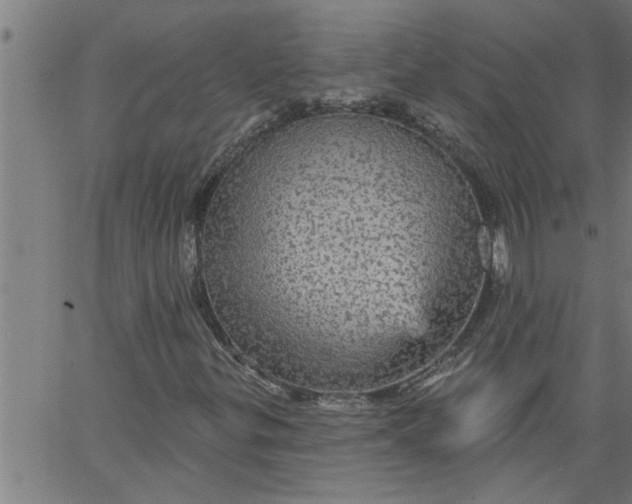 X0000066531299200603311810