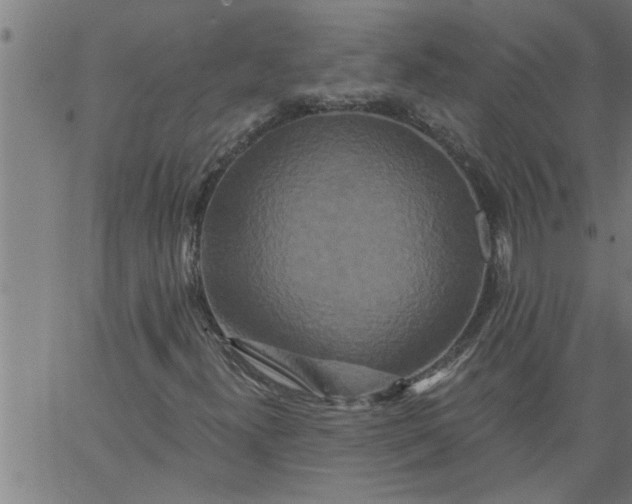 X0000066531300200603311810