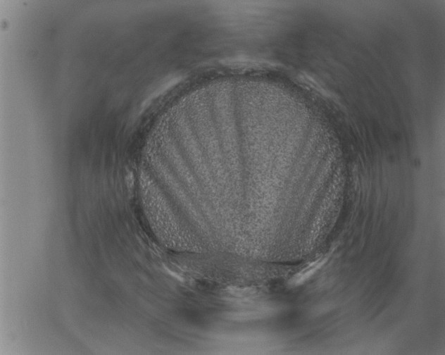 X0000066531302200603311810