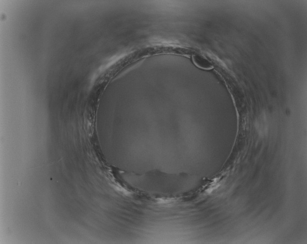 X0000066531303200603311810