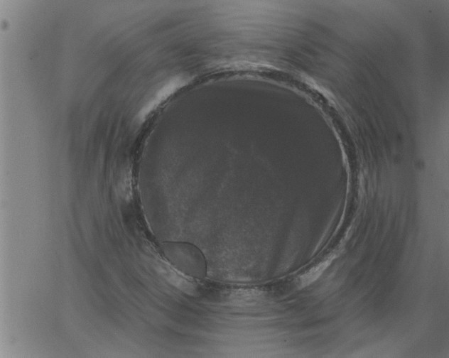 X0000066531306200603311810