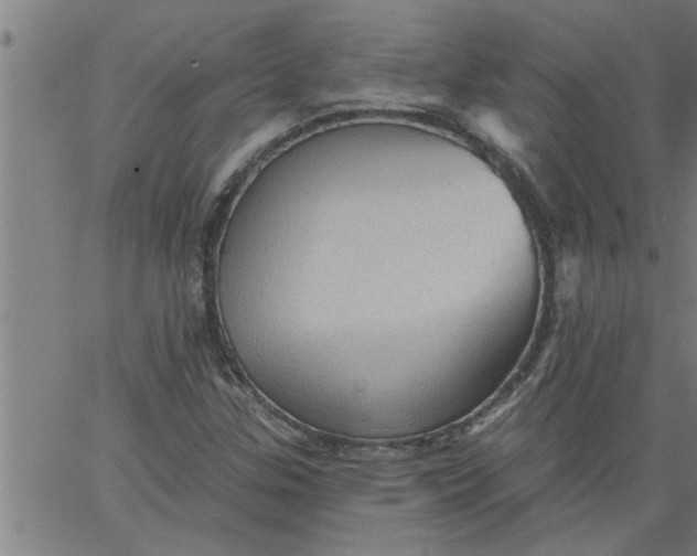 X0000066531307200603311810