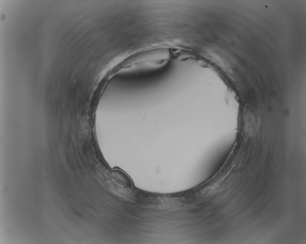 X0000066531308200603311810