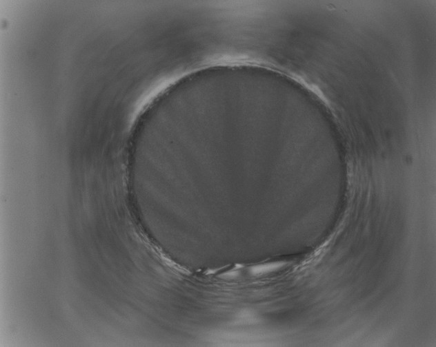 X0000066531311200603311810