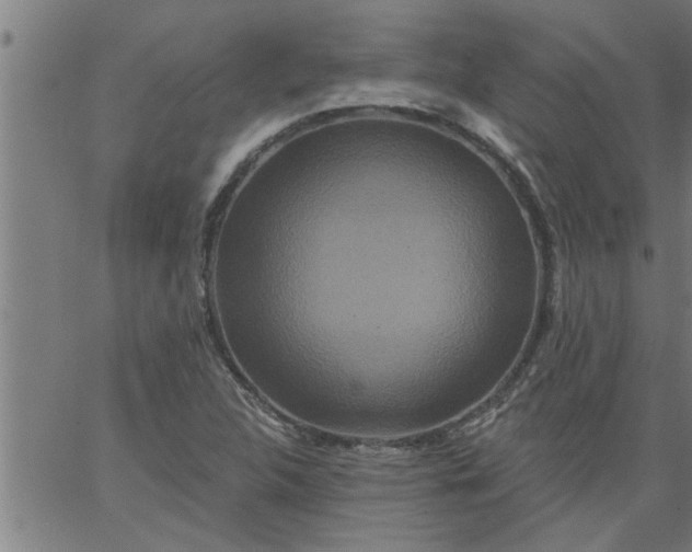 X0000066531312200603311810