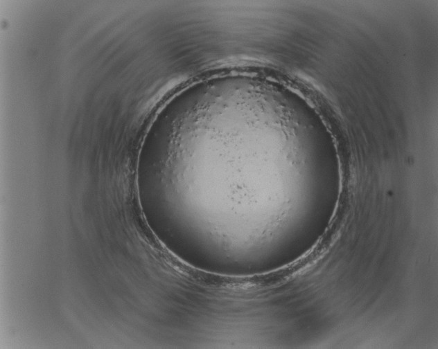 X0000066531313200603311810