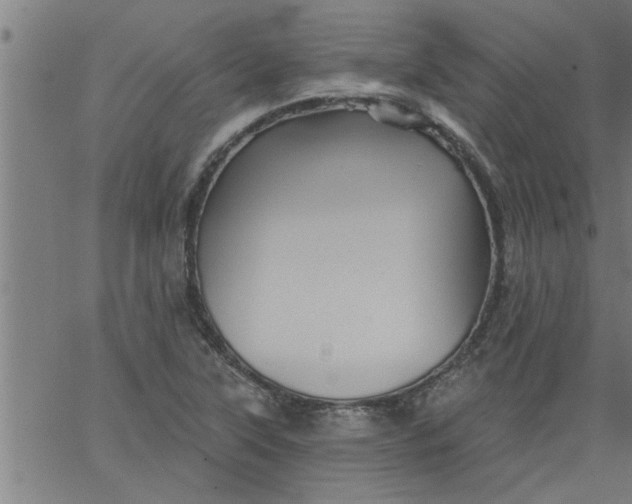 X0000066531315200603311810