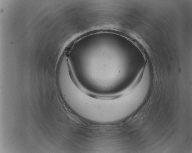 X0000066531316200603311810