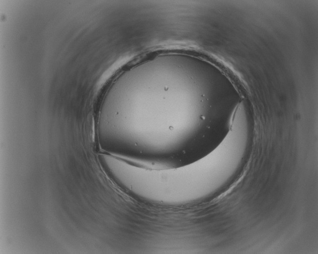 X0000066531317200603311810