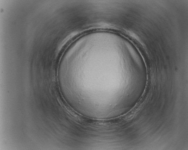 X0000066531318200603311810