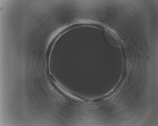 X0000066531319200603311810