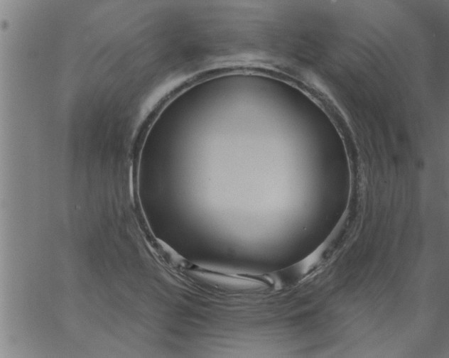 X0000066531320200603311810