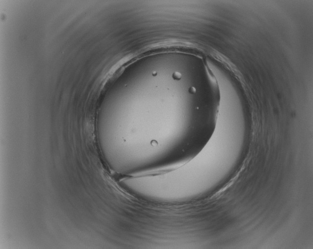 X0000066531321200603311810