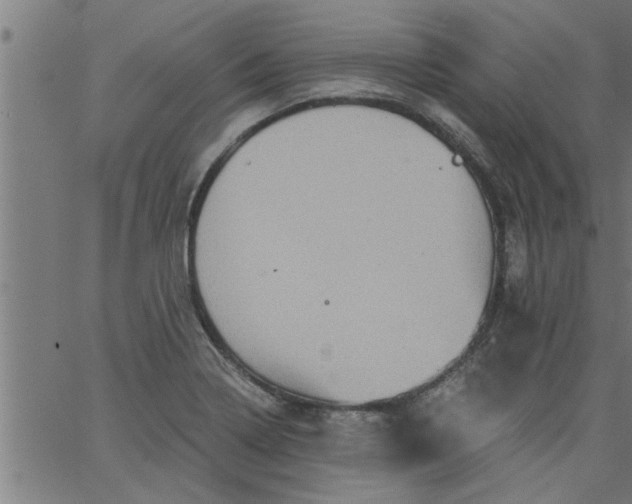 X0000066531322200603311810