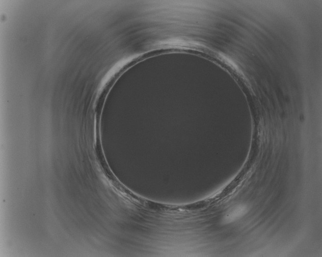 X0000066531323200603311810