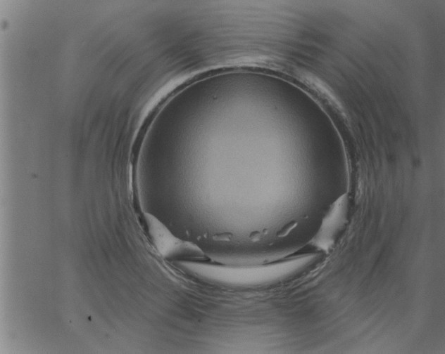 X0000066531324200603311810