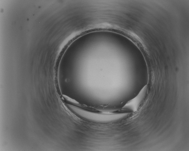 X0000066531326200603311810