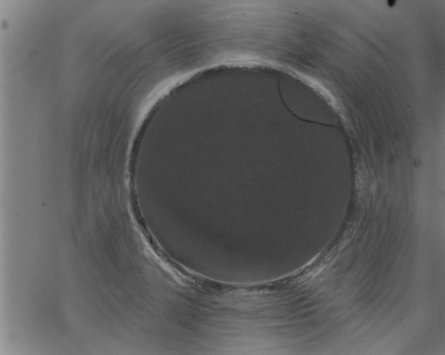 X0000066531327200603311810