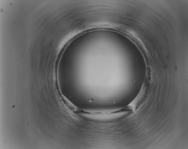 X0000066531328200603311810