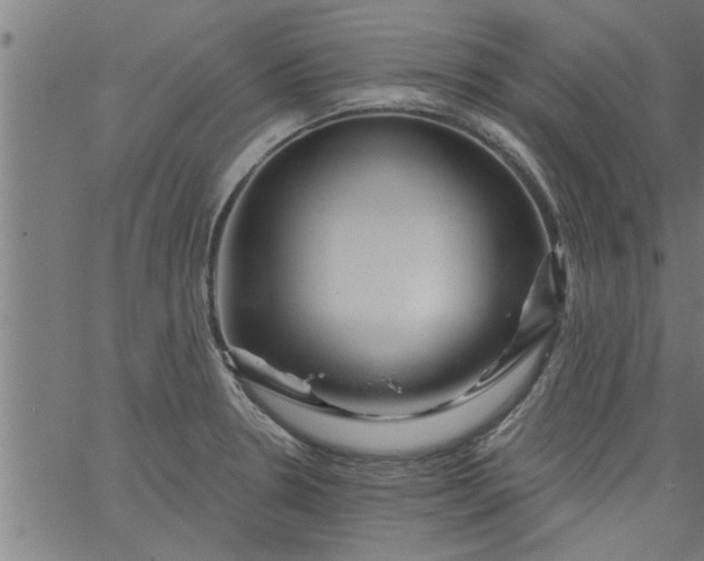 X0000066531330200603311810