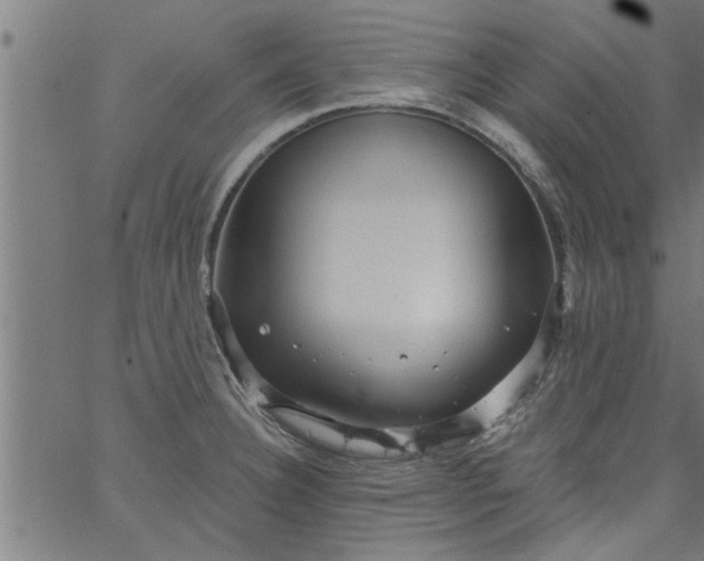 X0000066531332200603311810